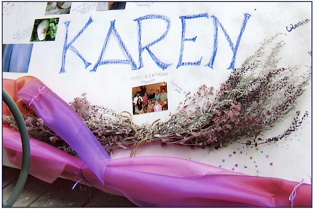 Detail of Karen's Coffin~